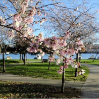 Güneşte bahar gölgede kış