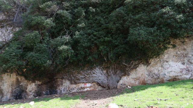 Türkiye'nin en yaşlı ikinci canlısı!