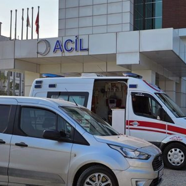 Kestiği ağacın altında kalarak öldü