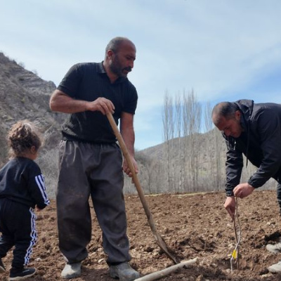 Şırnak'ta devlet desteğiyle meyve fidanı dikti