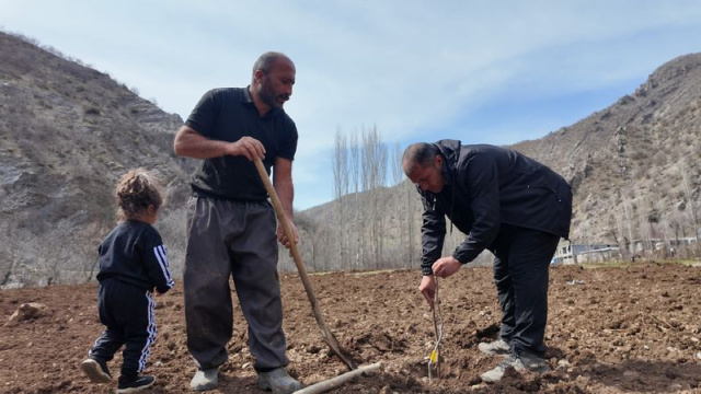 Şırnak'ta devlet desteğiyle meyve fidanı dikti