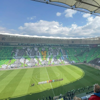 40 bin kartonla koreografi