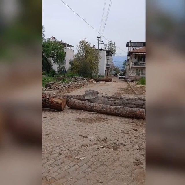 Mahalle yolunu tomruklarla kapattı