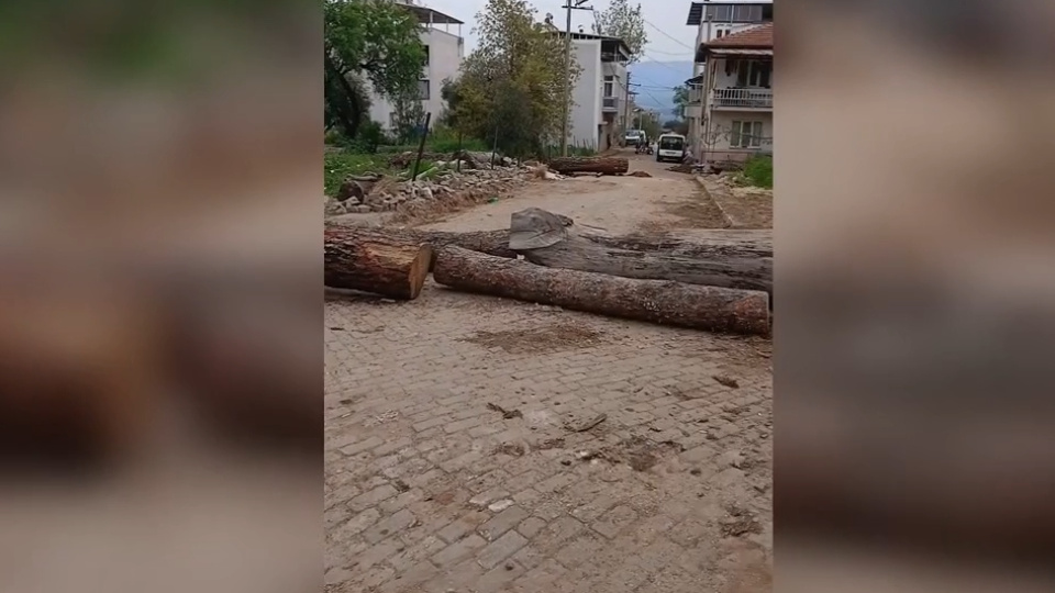 Mahalle yolunu tomruklarla kapattı