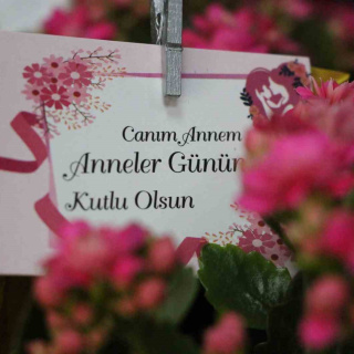 Anneler Günü ne zaman?