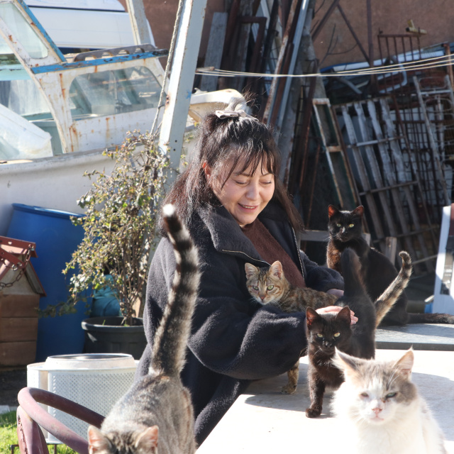 "Evladım" dediği kedileri 10 yıldır besleyip sahiplendiriyor