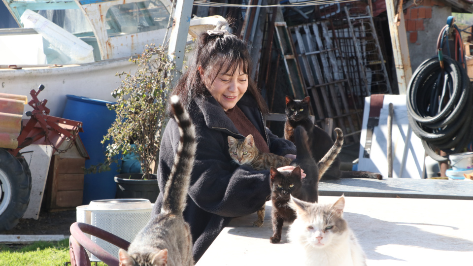 "Evladım" dediği kedileri 10 yıldır besleyip sahiplendiriyor