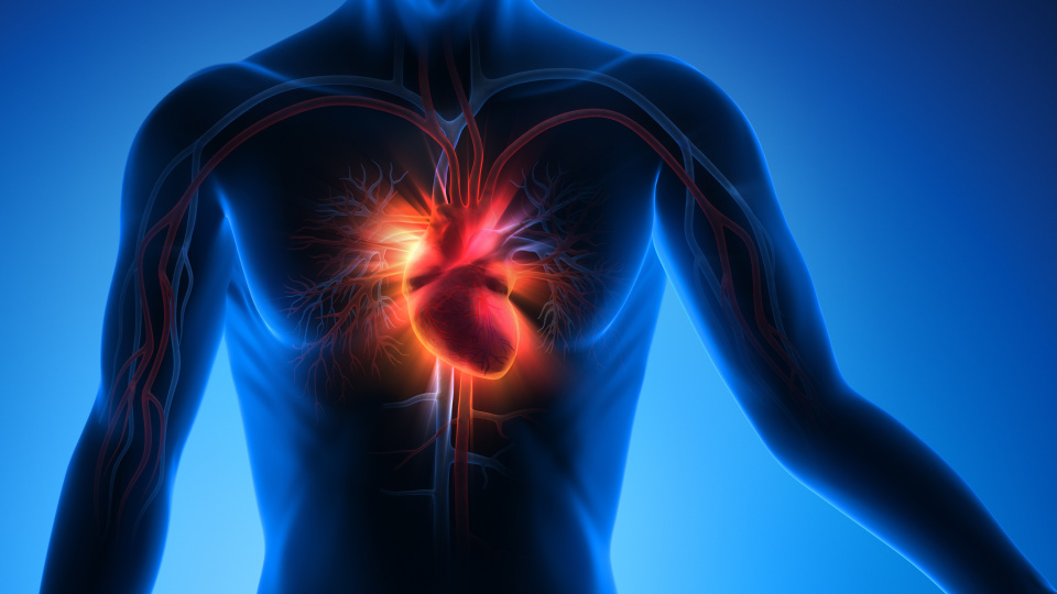 Türkiye'de kalp krizi yaşı 35'e düştü