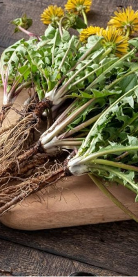 Bağırsaklara iyi gelen 10 besin