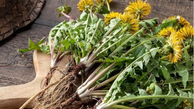 Bağırsaklara iyi gelen 10 besin