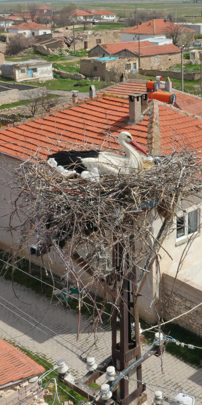 7 yıldır geliyor! Kamerayla takip ediliyor