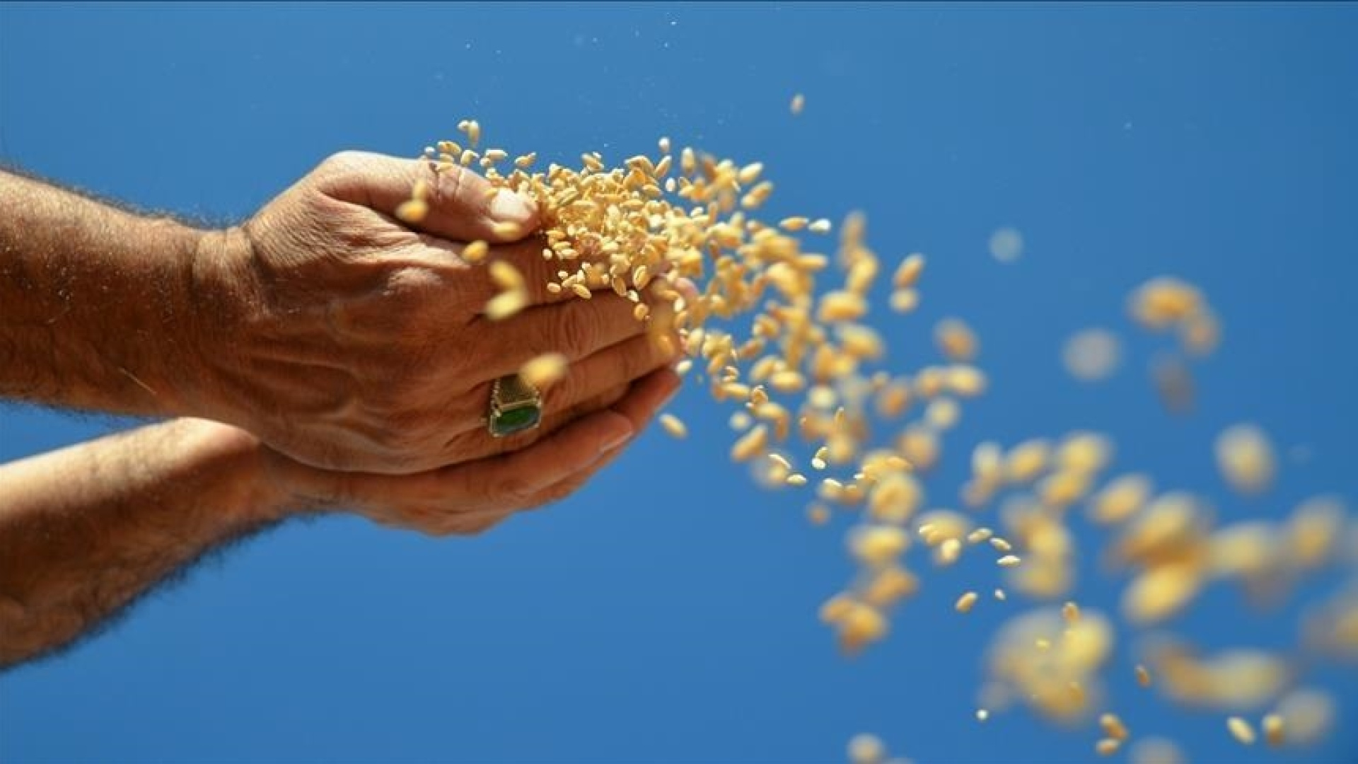 Kuraklık, susuzluk ve devam eden savaşlarla birlikte olası gıda krizine karşı GAP formulü