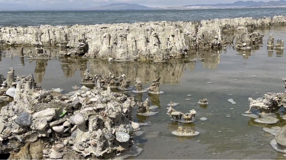 Van Gölü'ndeki mikrobiyalitler 'Guinness' yolunda!