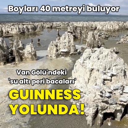 Van Gölü'ndeki mikrobiyalitler 'Guinness' yolunda!