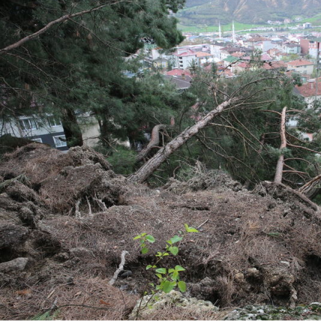 Reşadiye'de 13 daire tahliye edildi