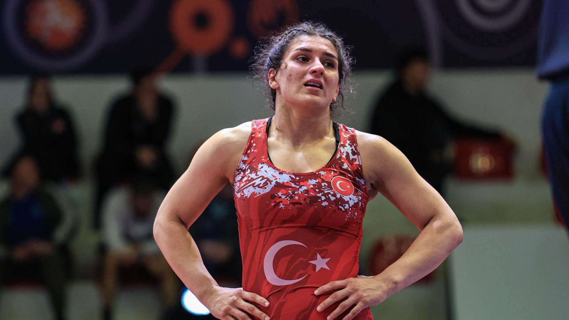 Milli Güreşçiler Evin Demirhan Yavuz ve Nesrin Baş Avrupa Şampiyonası'nda Finalde!