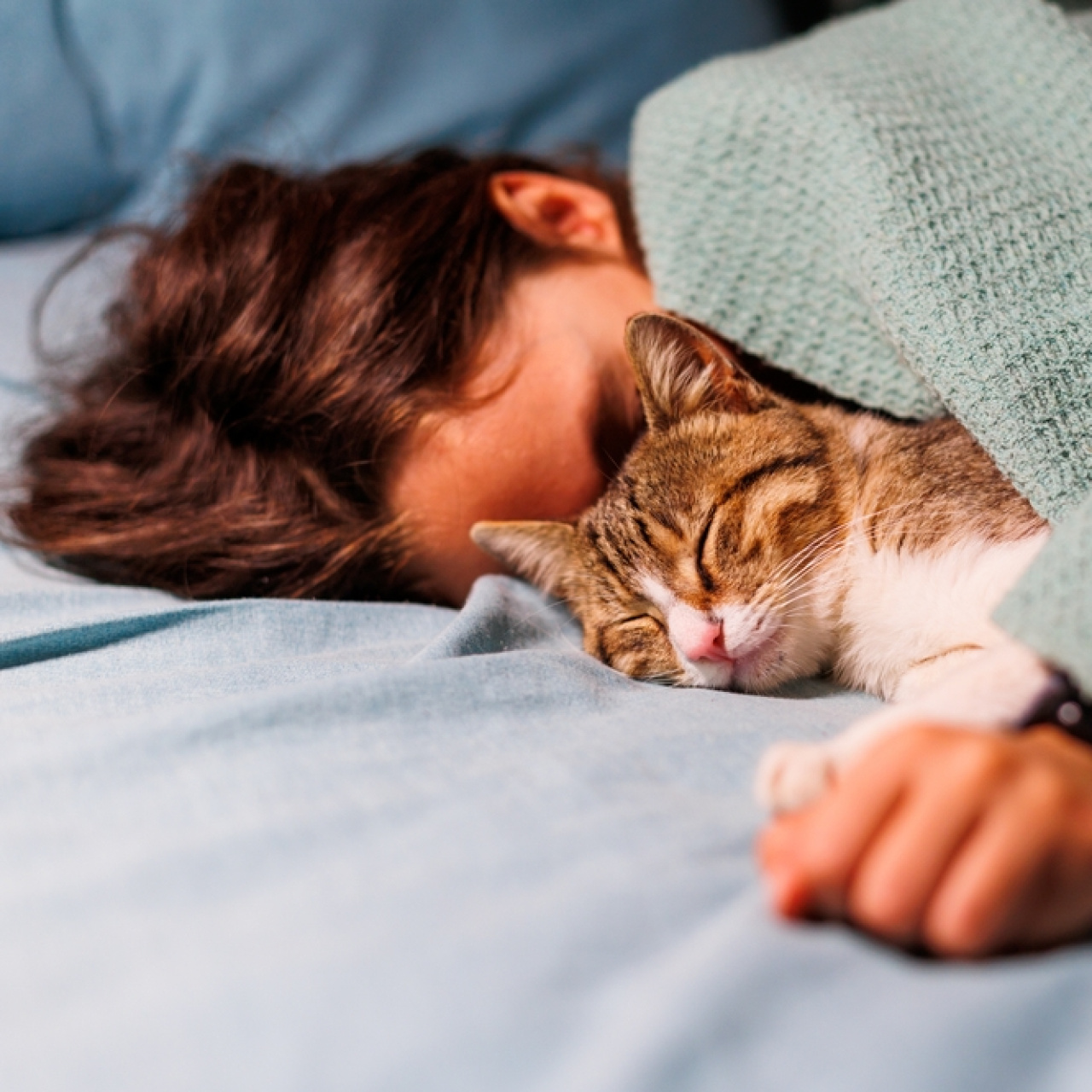 Kediler üzgün olduğumuzu fark ediyor mu?
