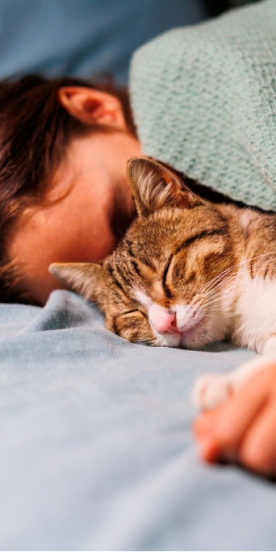 Kediler üzgün olduğumuzu fark ediyor mu?