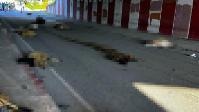 Koyun sürüsüne daldı, 17 hayvan hayatını kaybetti