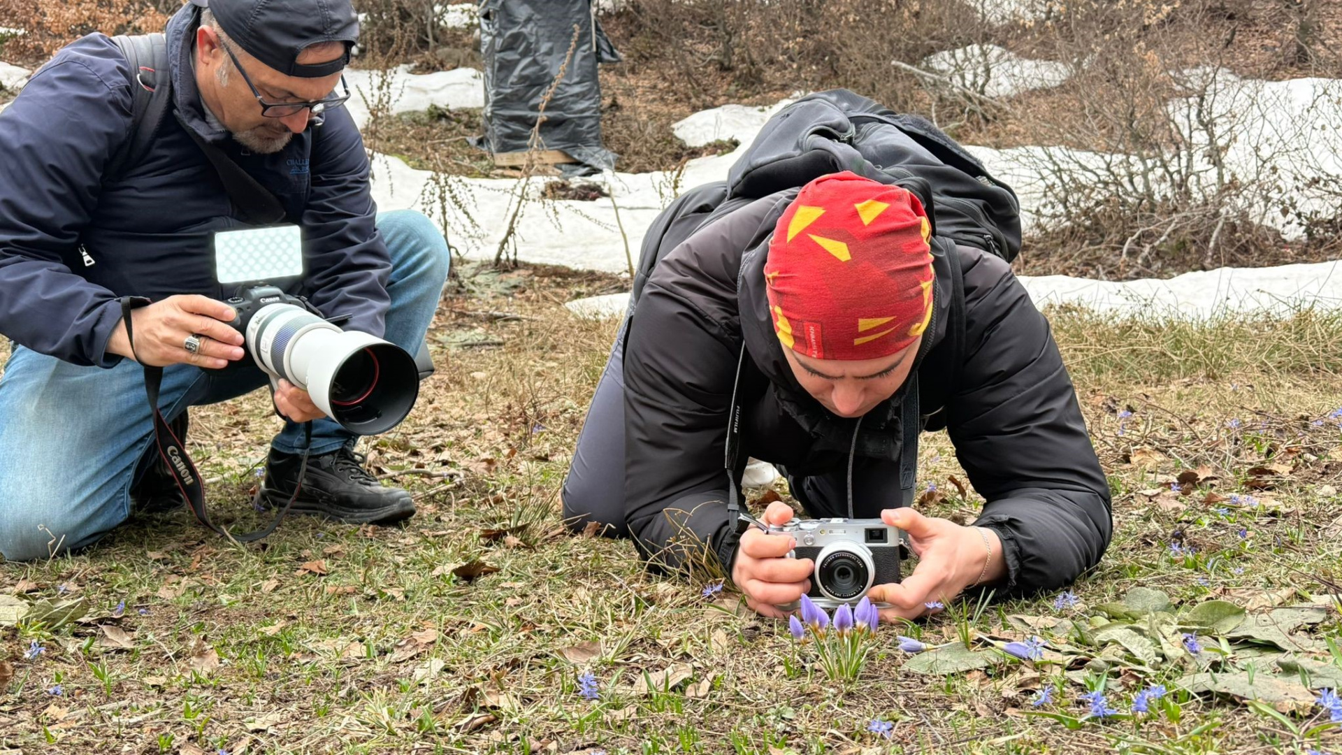 Kartepe'de Yetişen Nadide Keltepe Çiğdemi Fotoğraflandı
