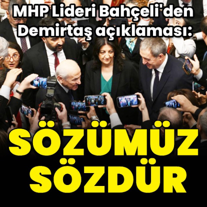 Bahçeli'den Demirtaş yorumu