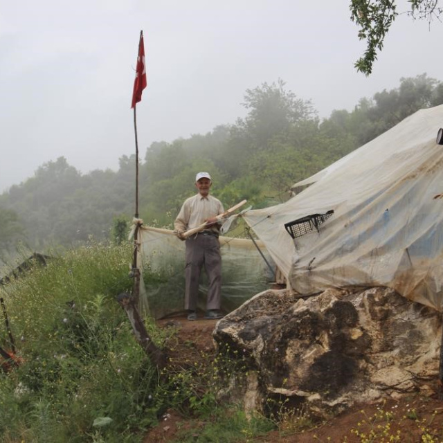 "Ailem varlıklıydı" Aydınlı Robinson modern hayatta!