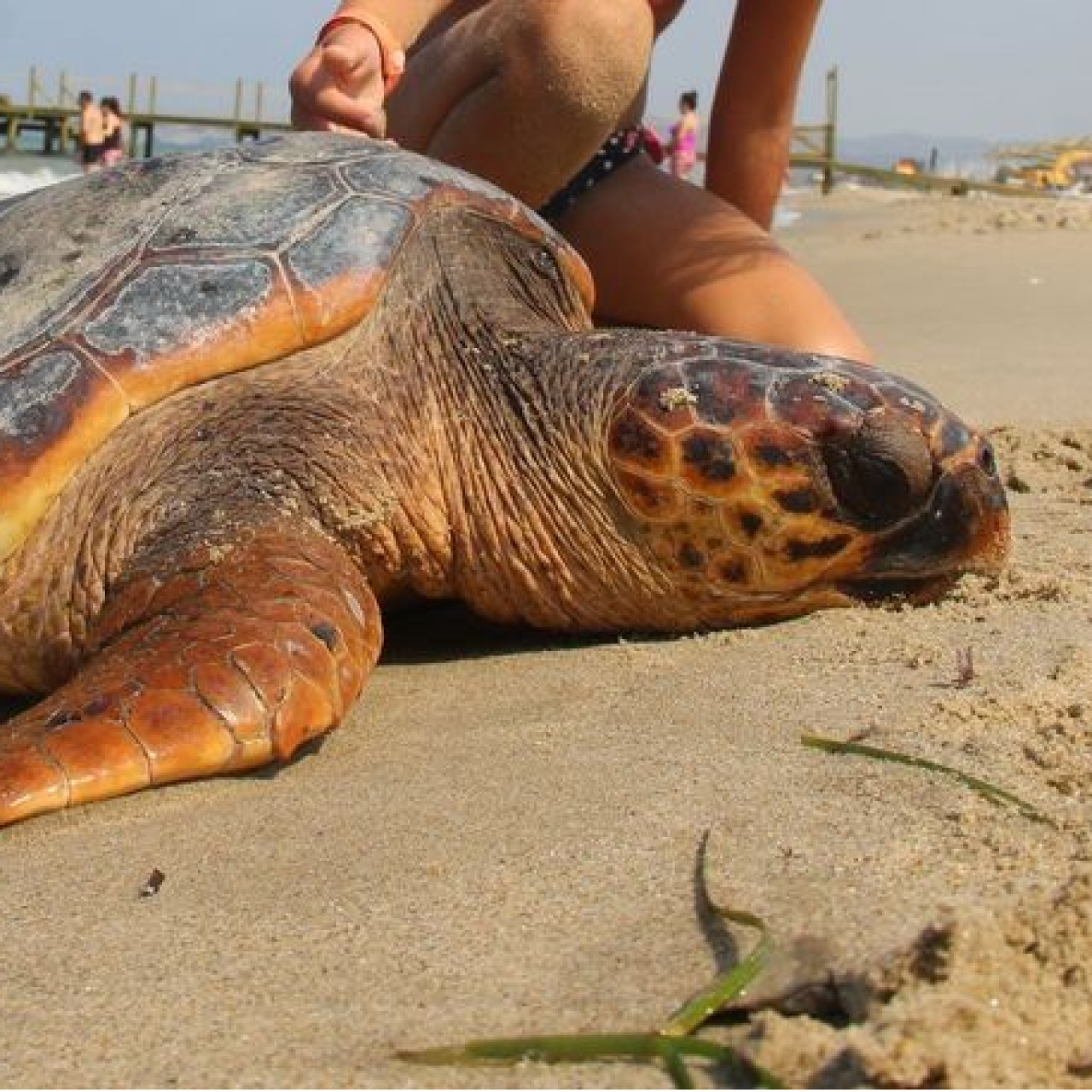 İki bölgede alarm: Son 18 yılda vakalar arttı
