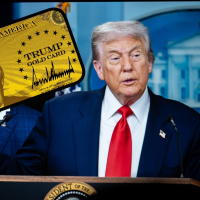 "Altın kart" vizesi bir kişiye verildi