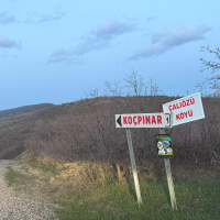 Gülistan Doku'nun mezar yeri aranıyor! 18 noktada çalışma yapıldı!