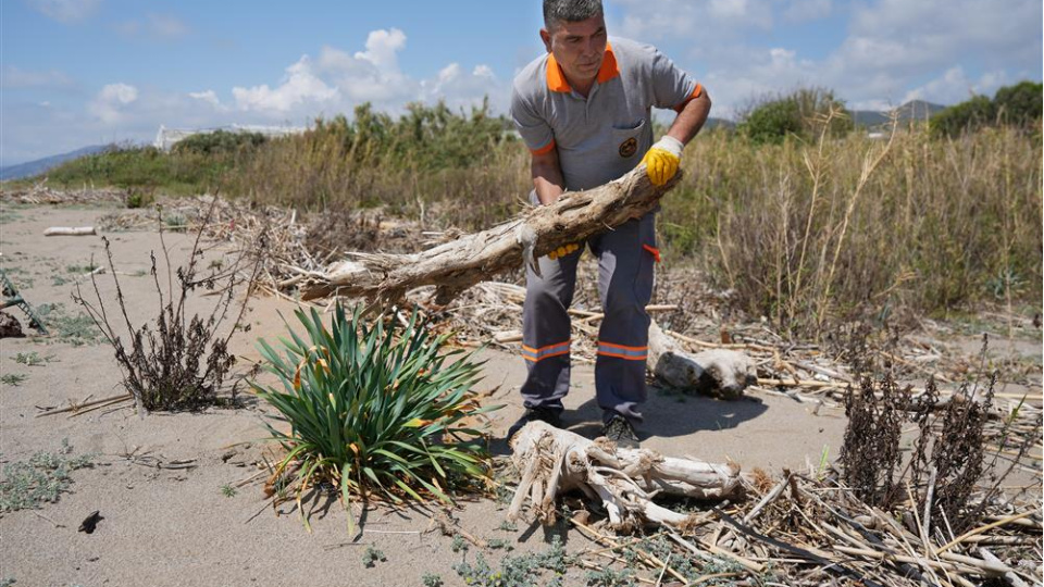 Caretta carettaların yaşam alanları temizlendi