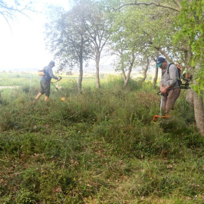 Adilhan Şehitliği'nde düzenleme çalışması