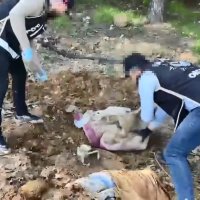 Pendik'te binlerce silah parçası bulundu