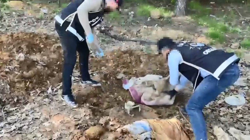 Pendik'te binlerce silah parçası bulundu