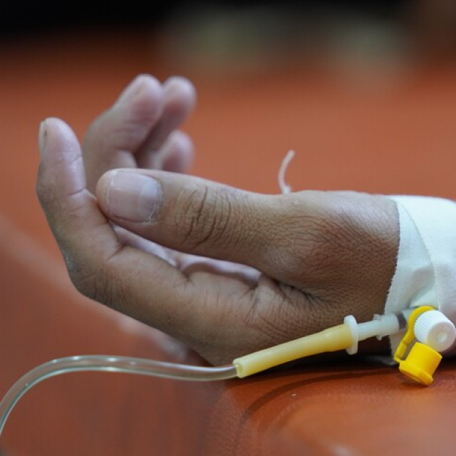 DSÖ: 2024'te sıtmadan 610 bin kişi yaşamını yitirdi