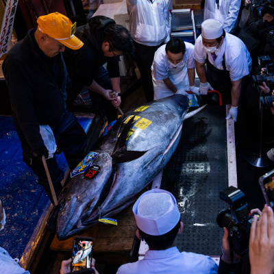 Japonya'da rekor açık artırma!