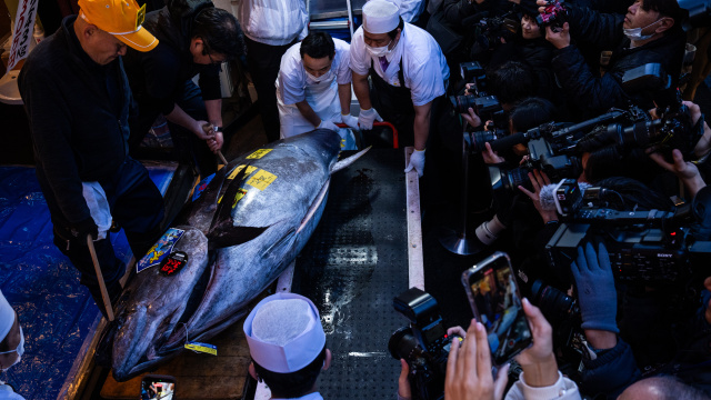 Japonya'da rekor açık artırma!