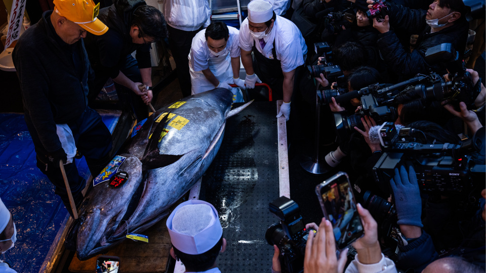 Japonya'da rekor açık artırma!