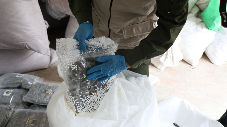 Uyuşturucu operasyonu: 1 tutuklama