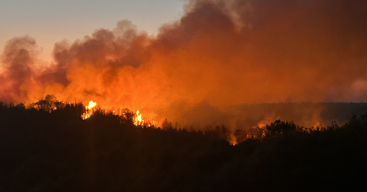 Beykoz'da Orman Yangını, İhbar ve Kontrol