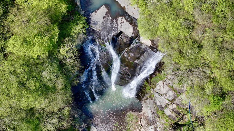 Samsun'un saklı cenneti yeşil örtüsüne kavuştu