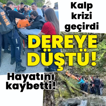 Kalp krizi geçirdi, dereye düştü!