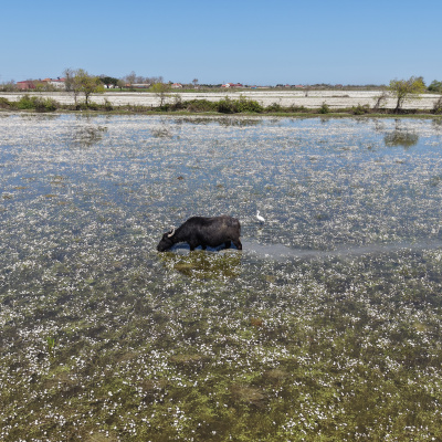 Samsun'da masalsı atmosfer! Bir ay içinde kayboluyor