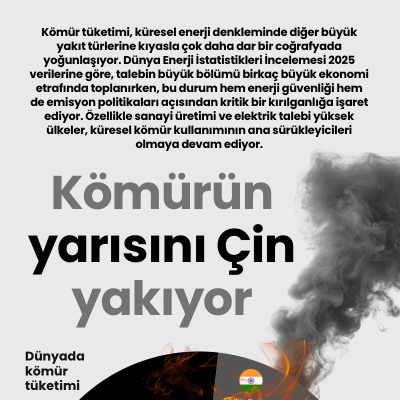 Kömürün yarısını Çin yakıyor