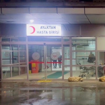 Doku soruşturmasında 2 adliyeye sevk!