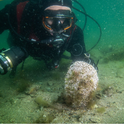 Tuzla'daki deniz çayırı ile pinalara bilimsel takip