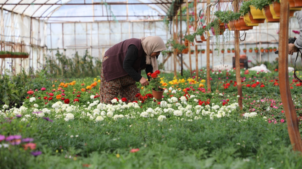 Muğla'da "Üretici Kadınlar Meclisi" kuruluyor