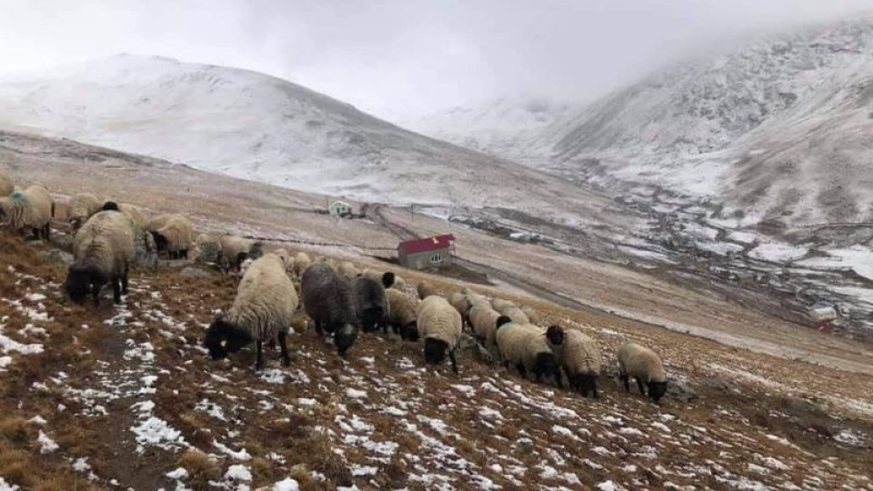 Giresunlu yaylacılardan "Gümüşhane" talebi