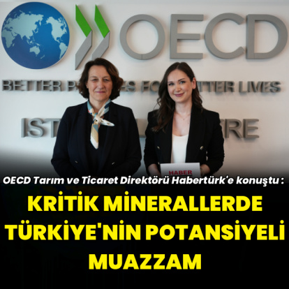 "Türkiye'nin kritik minerallerde potansiyeli muazzam"