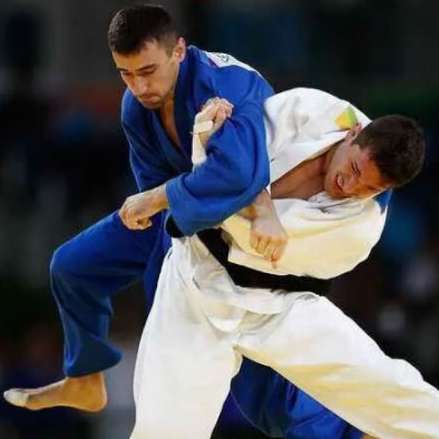 Türk polisine "judo" eğitimi verilecek