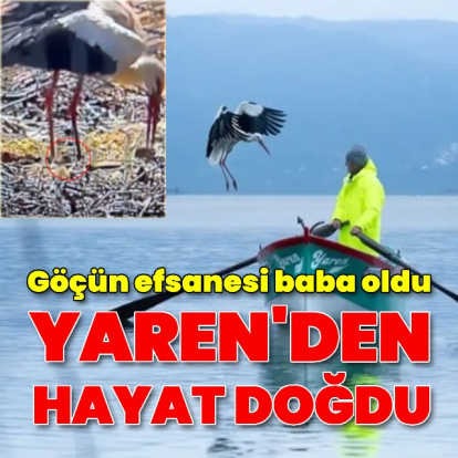 Yaren leylek baba oldu